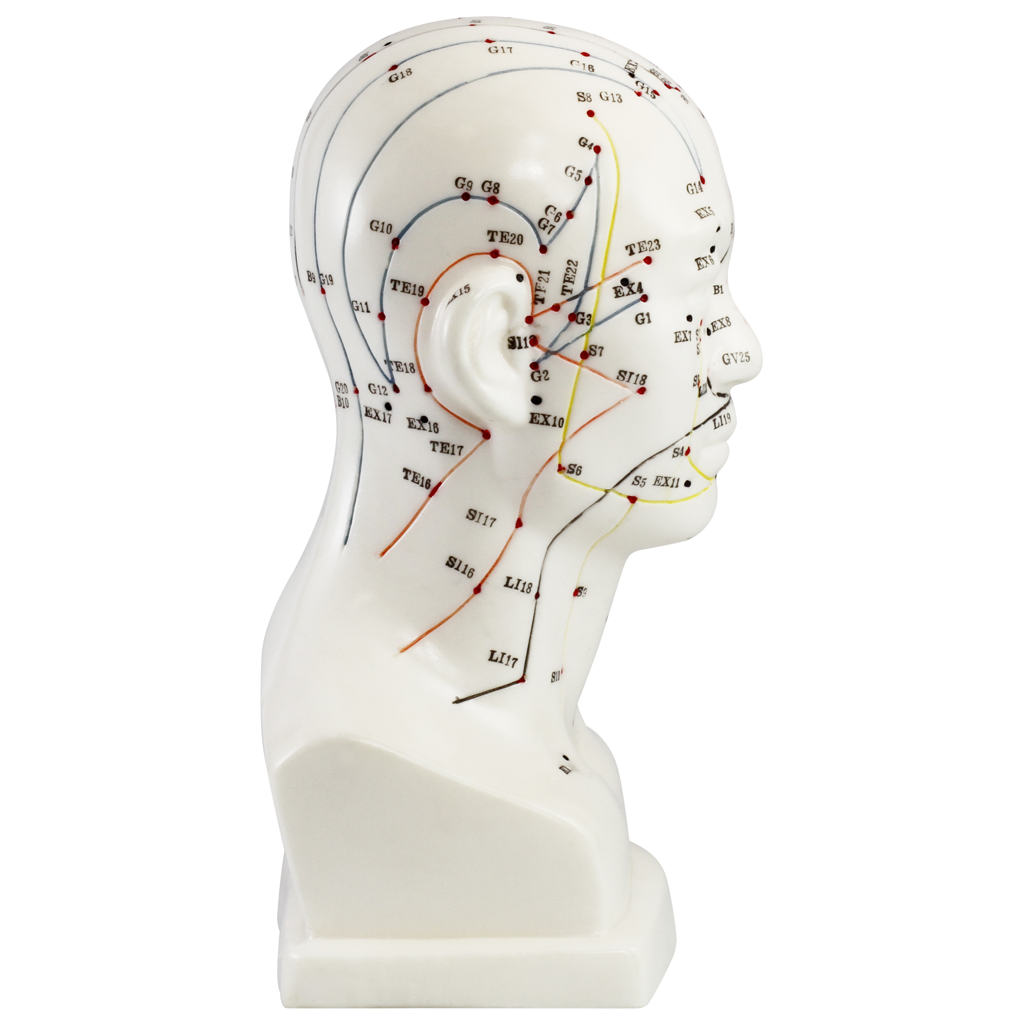 megro Akupunktur Einzelmodell